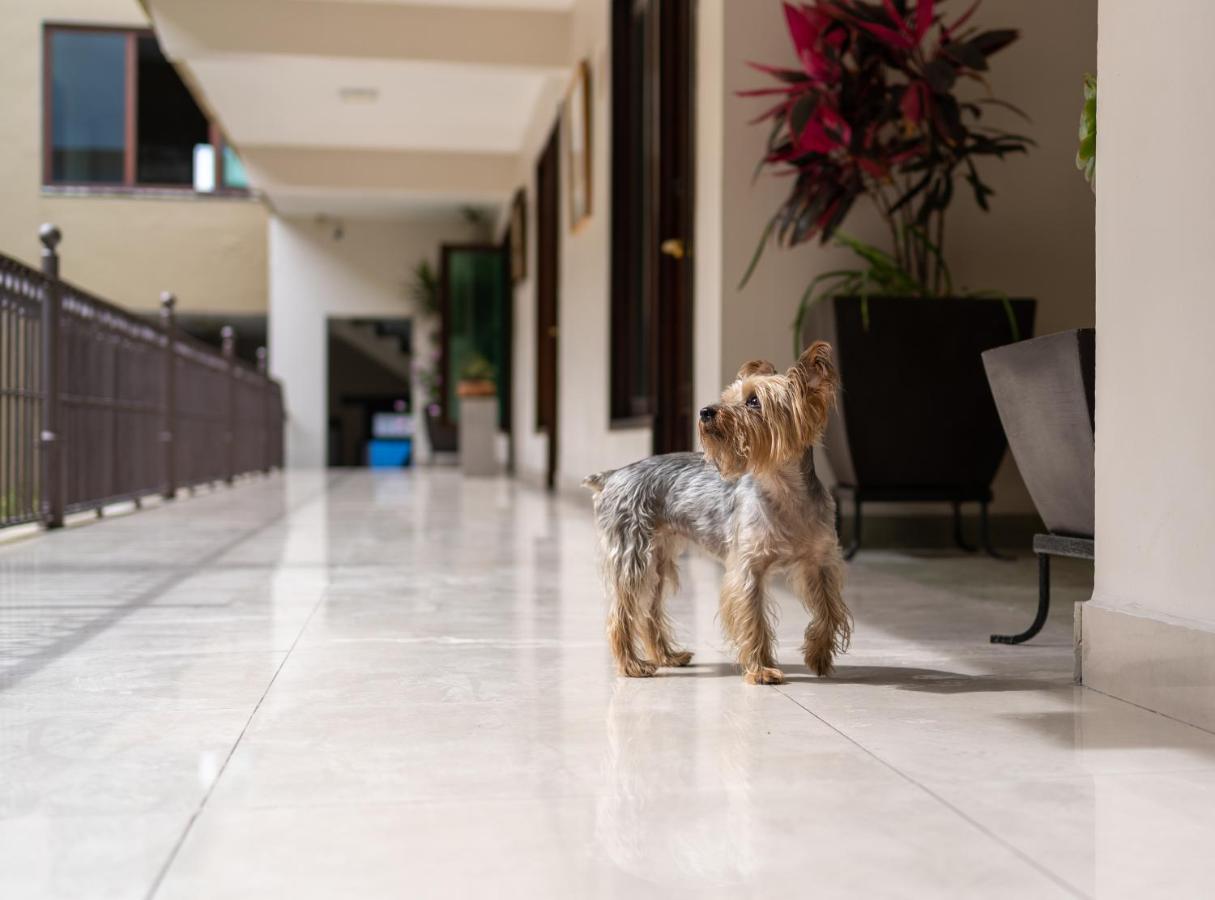 Casa De Las Flores Hotel Oaxaca Екстер'єр фото