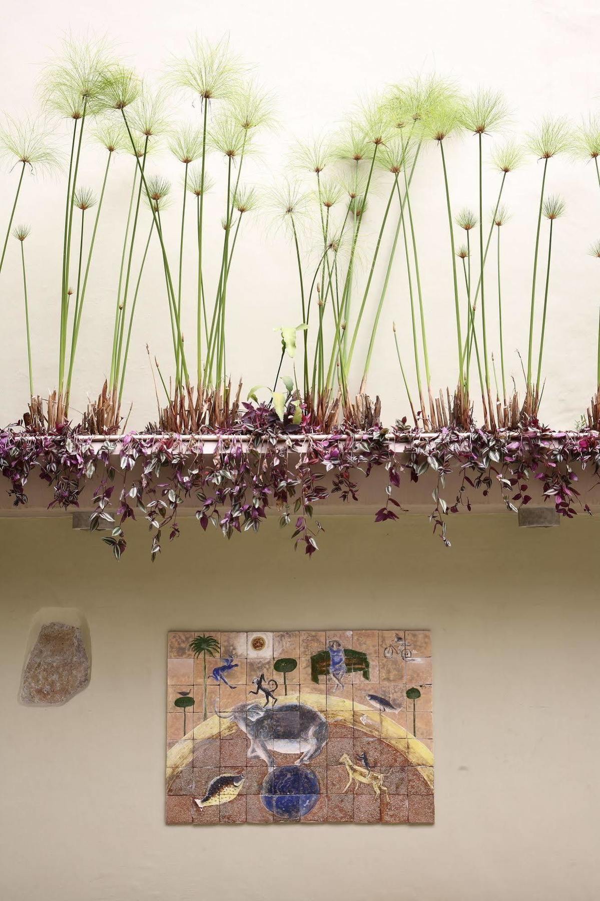 Casa De Las Flores Hotel Oaxaca Екстер'єр фото